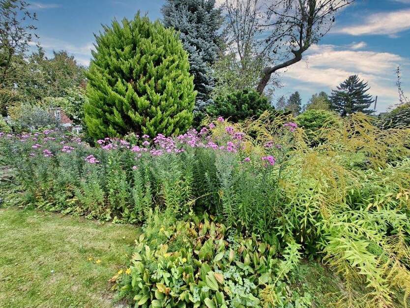 CITYHOUSE: Freistehendes Einfamilienhaus mit viel Potential, traumhaften großen Grundstück, Garage 3 zimmer