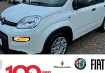 Gebrauchtwagen Fiat Panda