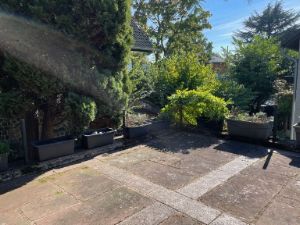 Freistehendes Haus mit liebevoll angelegtem Garten am Waldrand - Einfamilienhaus Bonn - Oberkassel Oberkassel | Angebot:24819986