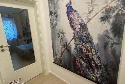 NeubauTop-Single-Appartement in Asbach zu vermieten zimmer