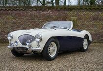 Austin Healey Andere