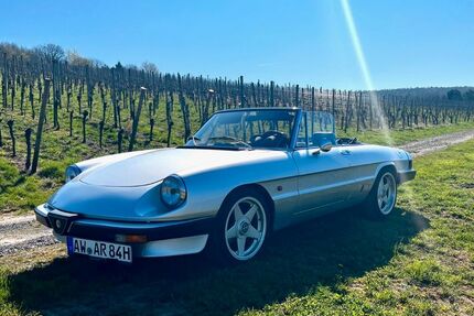 Alfa Romeo Spider 208.000 km 12.500 &euro; Bad Neuenahr 53474