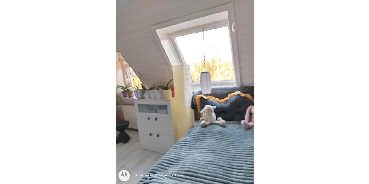 Etagenwohnung Bornheim - 2 Zimmer, 50 m&sup2;, 475&euro; | Angebot:24581972