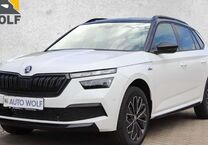 Gebrauchtwagen Skoda Kamiq