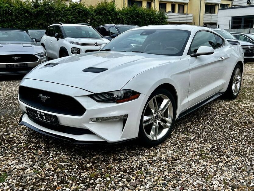 Mustang