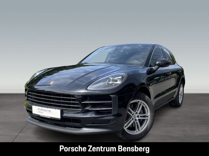 Macan