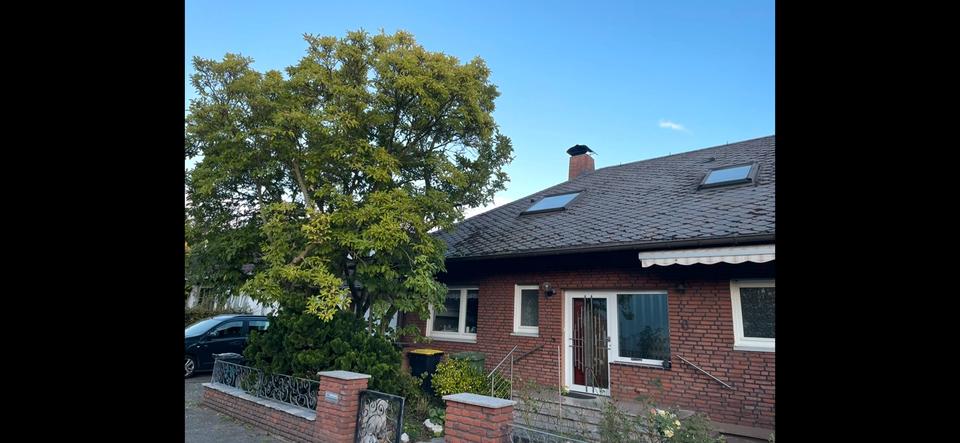 Einfamilienhaus Meckenheim - 6 Zimmer, 250 m&sup2;, 595.000&euro; | Angebot:24659101