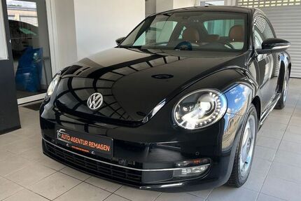 VW Beetle