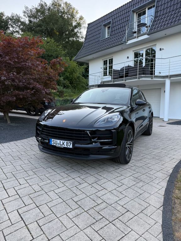 Macan