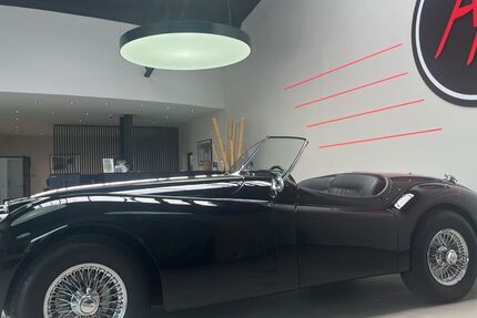 Jaguar XK 27.000 km 132.980 &euro; Remagen 53424