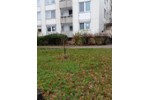 Erdgeschoßwohnung Köln Porz - 2 Zimmer, 68 m&sup2;, 180.000&euro; | Angebot:27224896