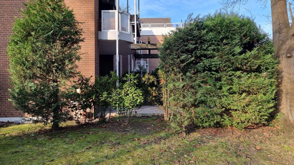 Erdgeschoßwohnung Köln Lindenthal - 4 Zimmer, 110 m&sup2;, 689.000&euro; | Angebot:24650344