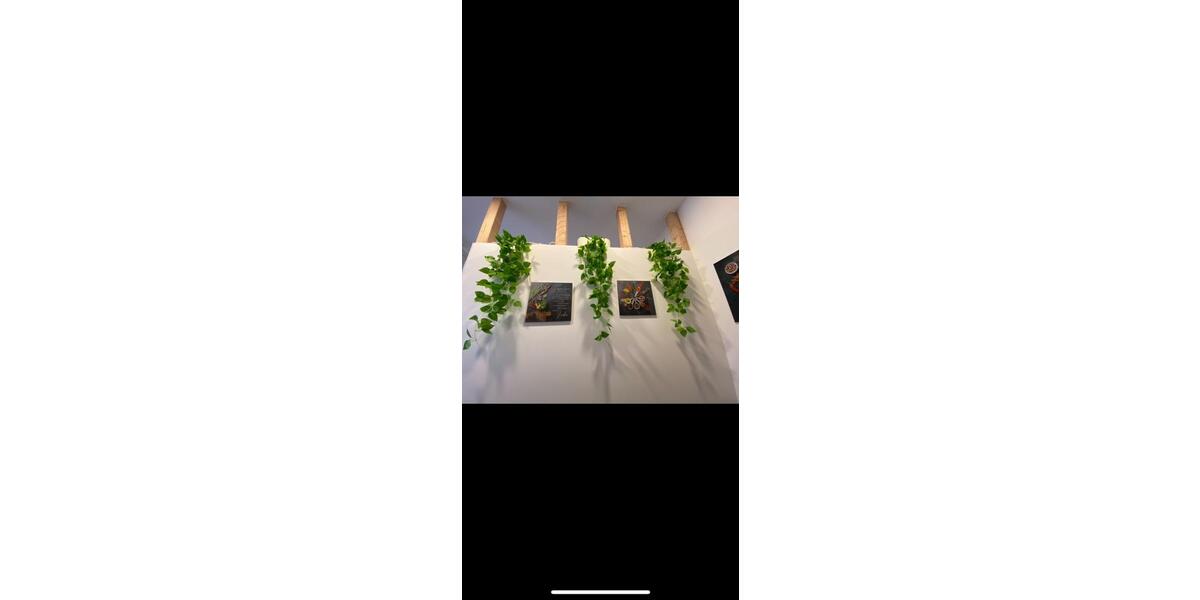 Erdgeschoßwohnung Bonn Dransdorf - 1 Zimmer, 25 m&sup2;, 600&euro; | Angebot:25813858