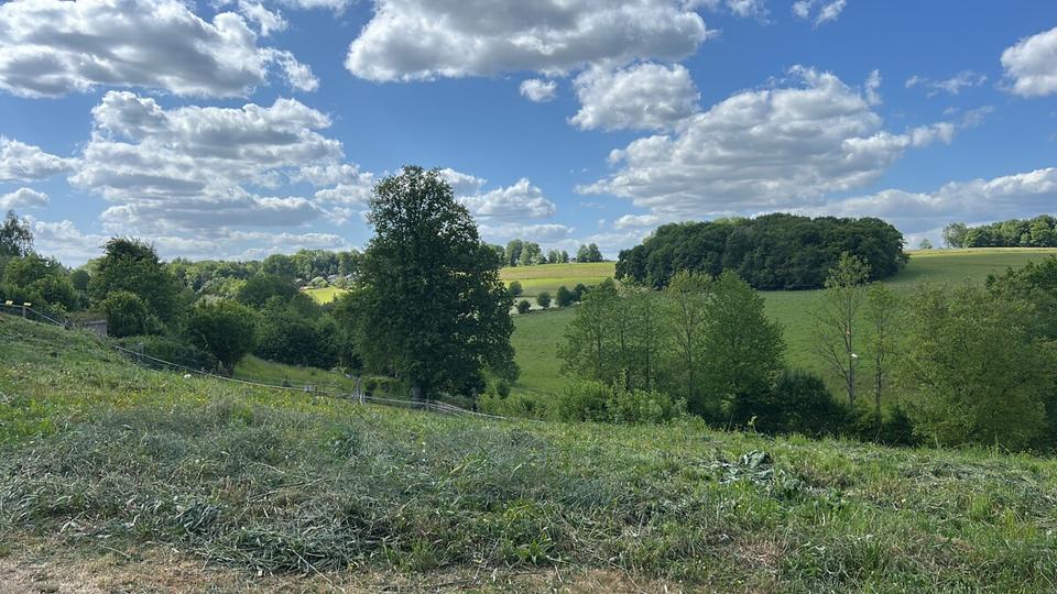 Doppelhaushälfte Neunkirchen-Seelscheid Seelscheid - 4 Zimmer, 162 m&sup2;, 2.200&euro; | Angebot:24443605