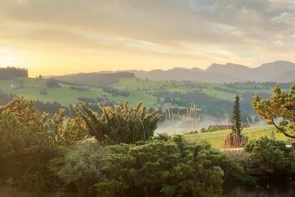 Wohnung mit traumhaftem Panorama-Fernblick im Allgäu zu verkaufen 2 zimmer