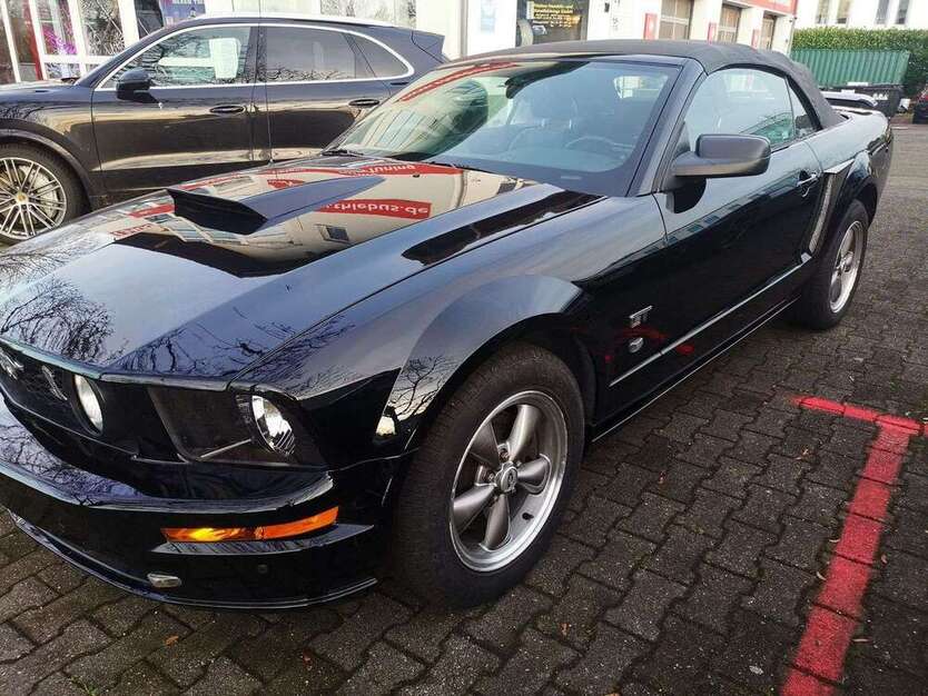 Mustang