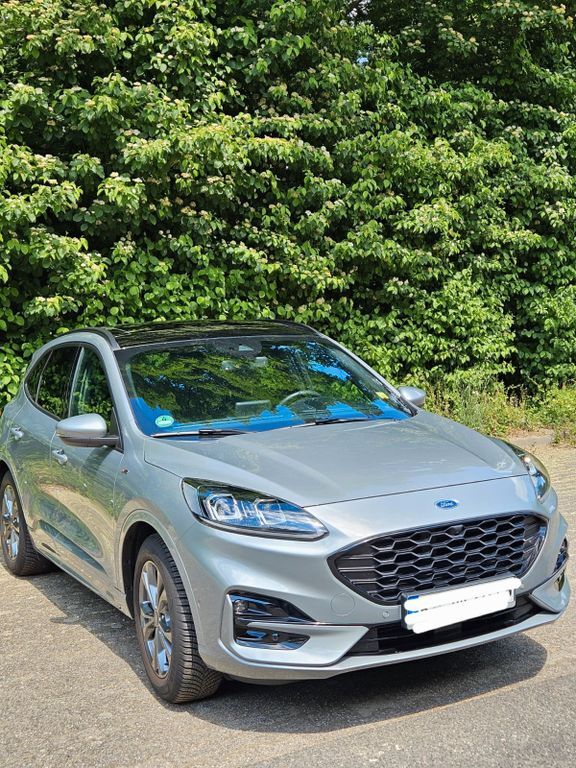 Kuga