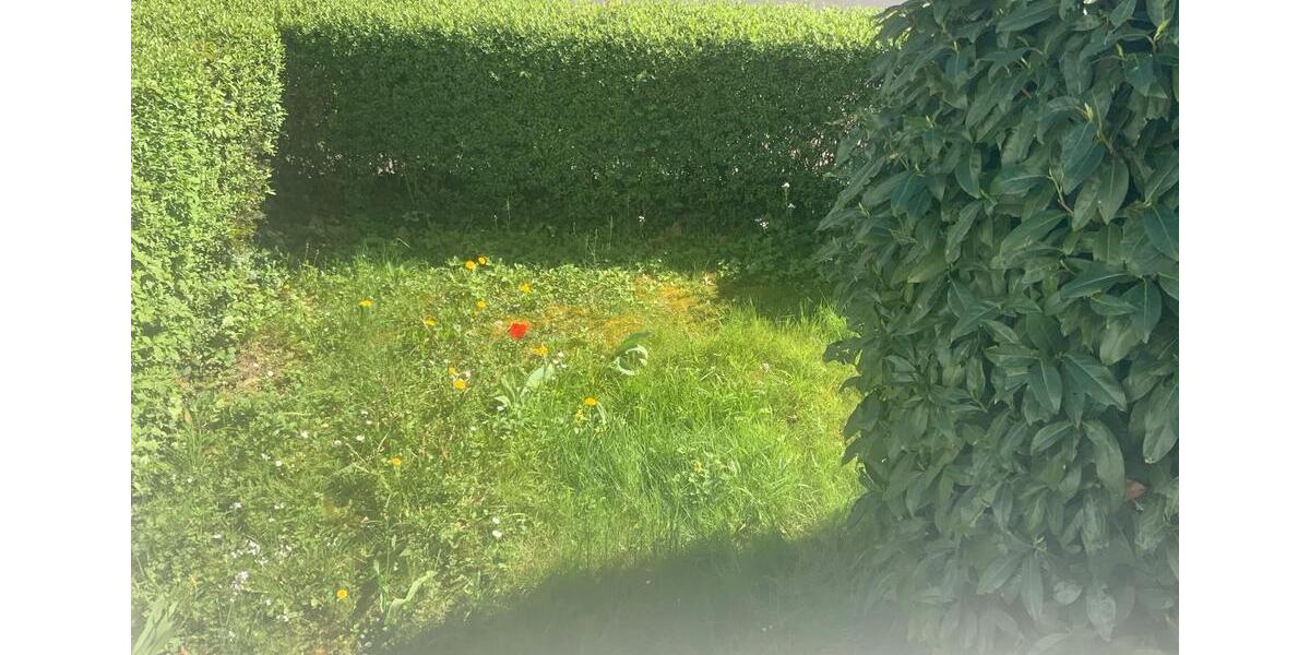Erdgeschoßwohnung Bonn Friesdorf - 1 Zimmer, 15 m&sup2;, 450&euro; | Angebot:26449074