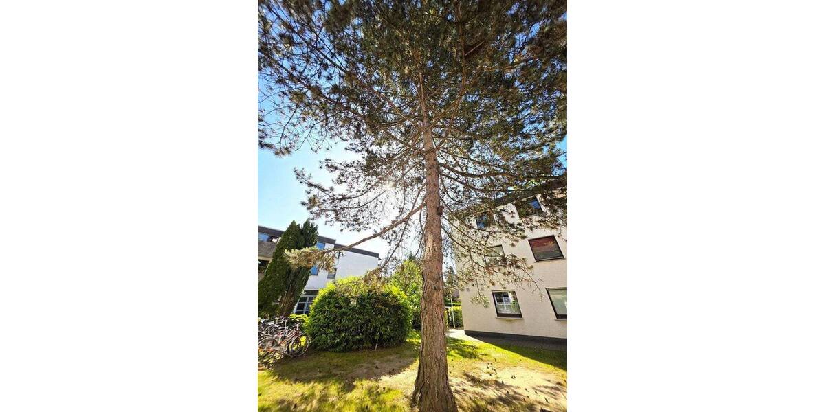 Etagenwohnung Bergisch Gladbach Alt-Refrath - 2 Zimmer, 60 m&sup2;, 186.400&euro; | Angebot:26914846