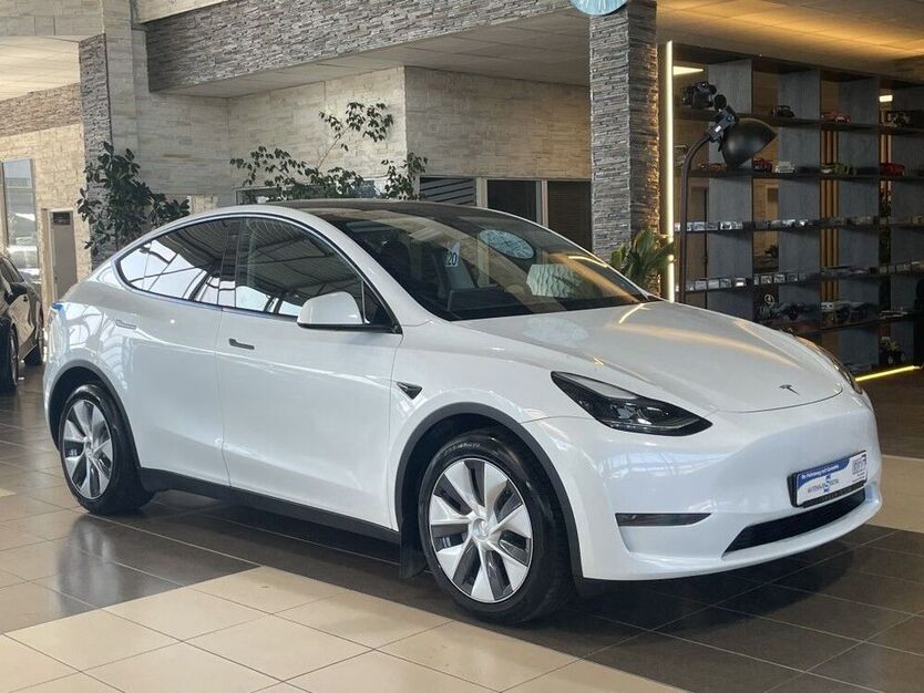 Model Y