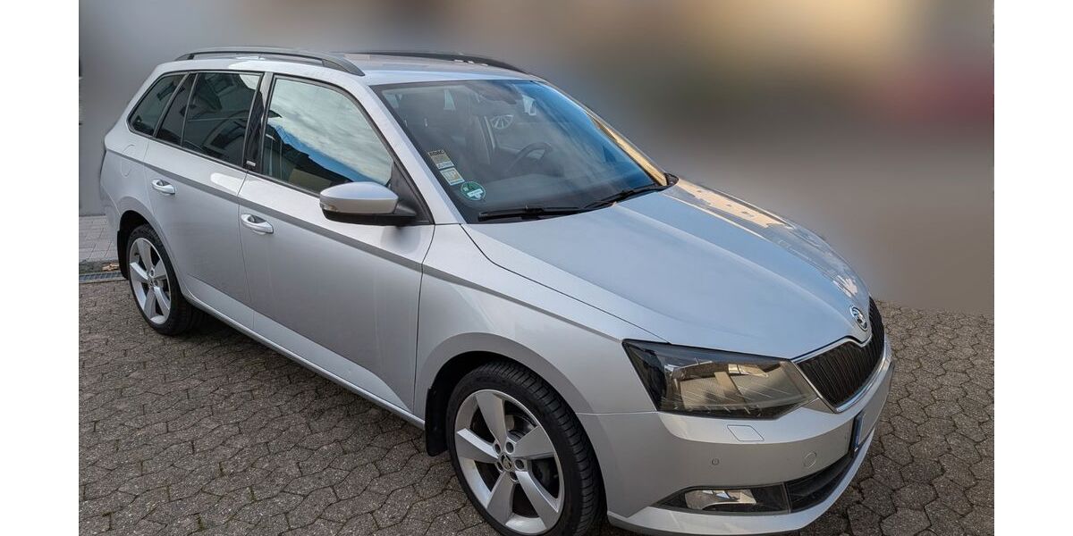Skoda Fabia 89.000 km 9.900 &euro; Bonn 53225