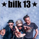 BILK 13 - Support: INPUT KINKS