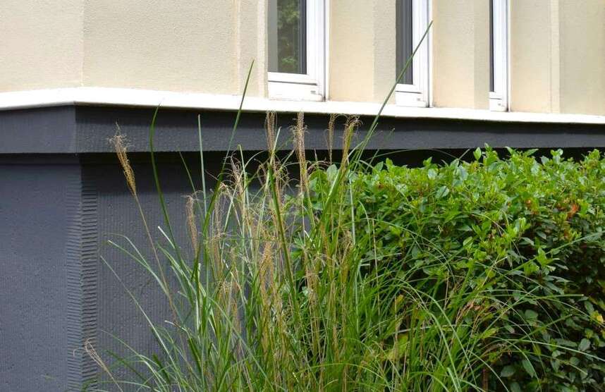 Haus zum Kaufen in Köln 2.390.000 € 600 m² 30 zimmer