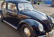 VW Käfer