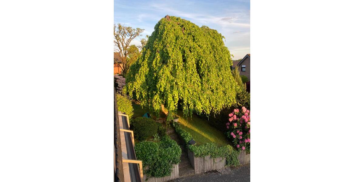 Einfamilienhaus Neunkirchen-Seelscheid Seelscheid - 19 Zimmer, 295 m&sup2;, 799.000&euro; | Angebot:25882602