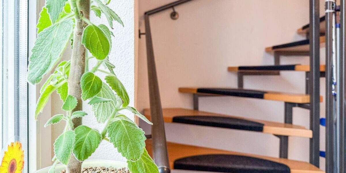 Mehrfamilienhaus, Wohnhaus Lohmar - 9 Zimmer, 242 m&sup2;, 745.000&euro; | Angebot:25706578