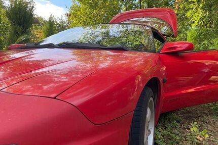 Pontiac Firebird 167.000 km 3.850 &euro; Troisdorf 53842