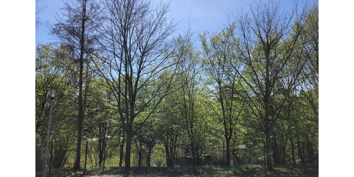 Garagen / Stellplätze Bergisch Gladbach Paffrath - 65&euro; | Angebot:26132448