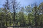 Garagen / Stellplätze Bergisch Gladbach Paffrath - 65&euro; | Angebot:26132448