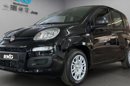Fiat Panda 2.500 km 15.890 € Bonn 53119