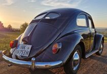 VW Käfer 86.364 km 19.900 &euro; Ottweiler 66564