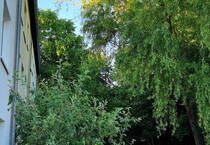4 Zimmer Wohung in Duisdorf Finkenhof