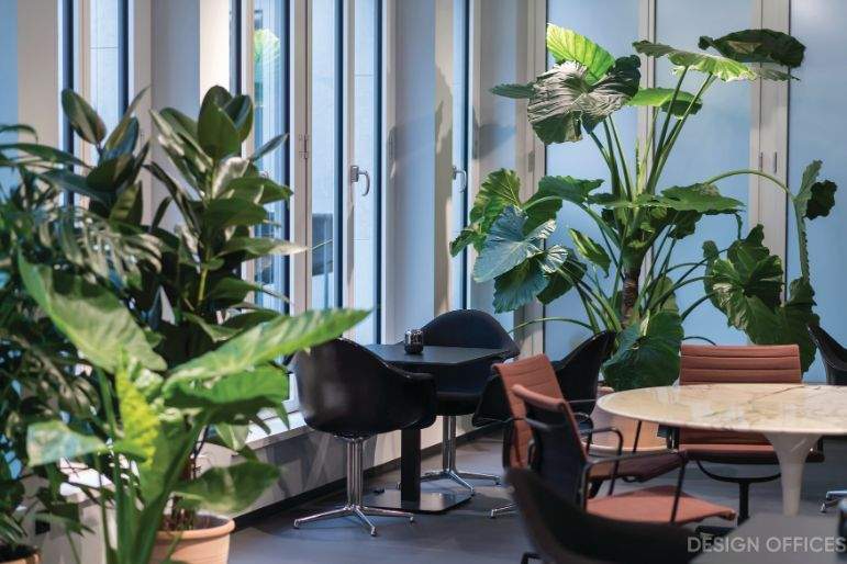 Gewerbeobjekt Bonn Zentrum - 1.200&euro; | Angebot:24864759