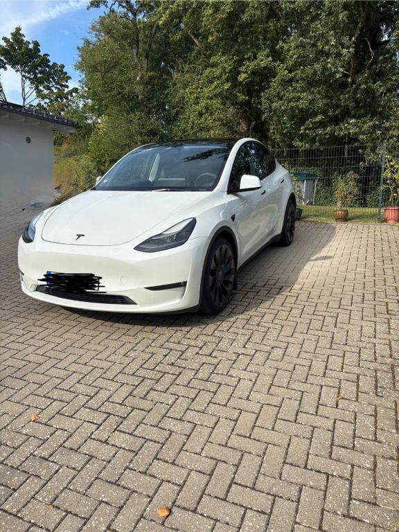 Model Y