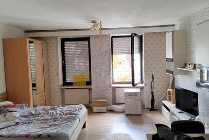 1 ZKB Wohnung zu vermieten ab1.1 1 zimmer