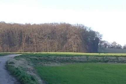 Helle, bezugsfreie 2,5-Zimmer Wohnung in Waldrandlage von Frechen-Königsdorf - Wohnung Frechen Königsdorf | Angebot:25874456