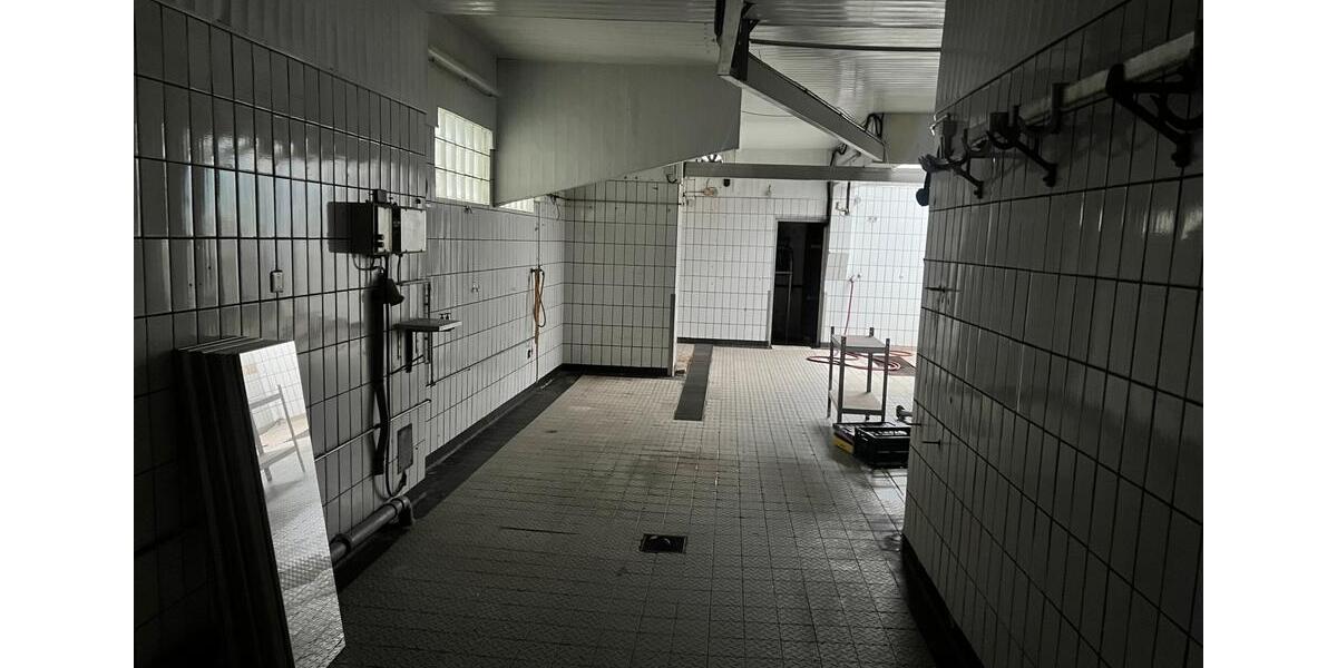 Gewerbeobjekt Bornheim - 1.800&euro; | Angebot:24524489