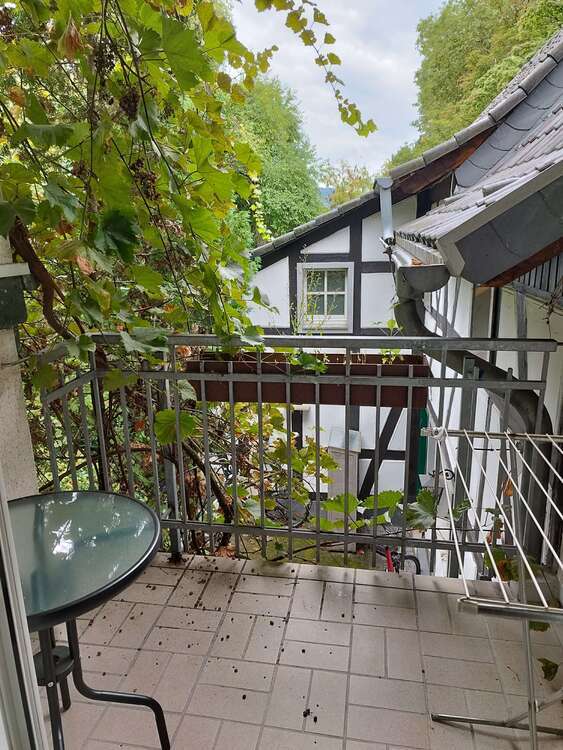 Wohnung zum Mieten in Bonn-Oberkassel 480 € 23 m²