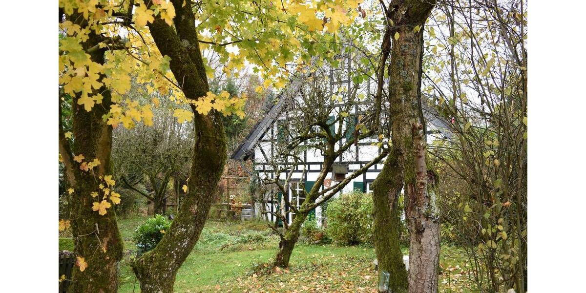 Einfamilienhaus Much - 6 Zimmer, 200 m&sup2;, 800.000&euro; | Angebot:24563293