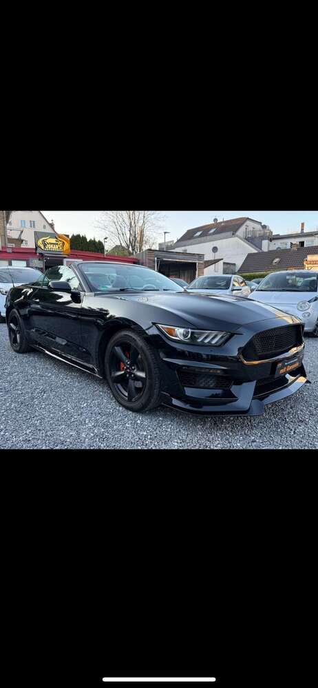 Mustang