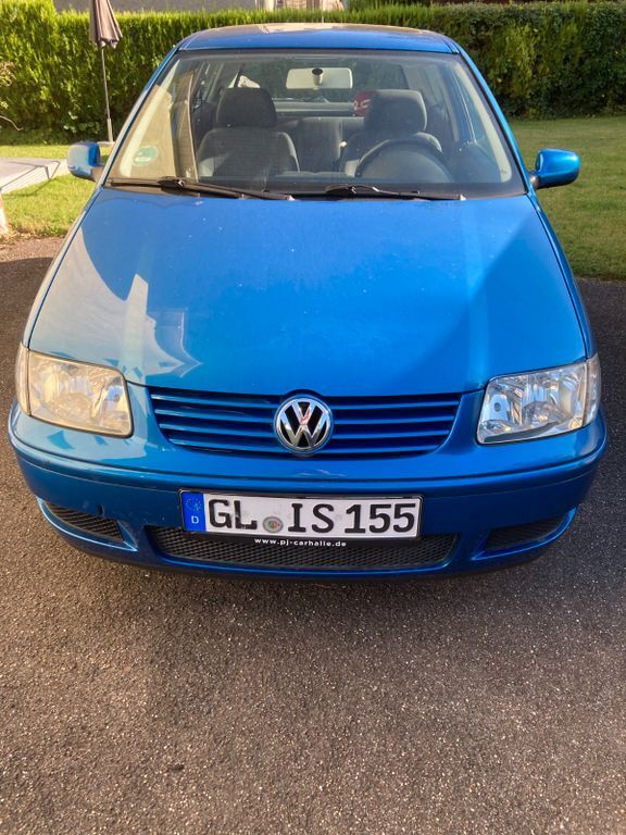Polo