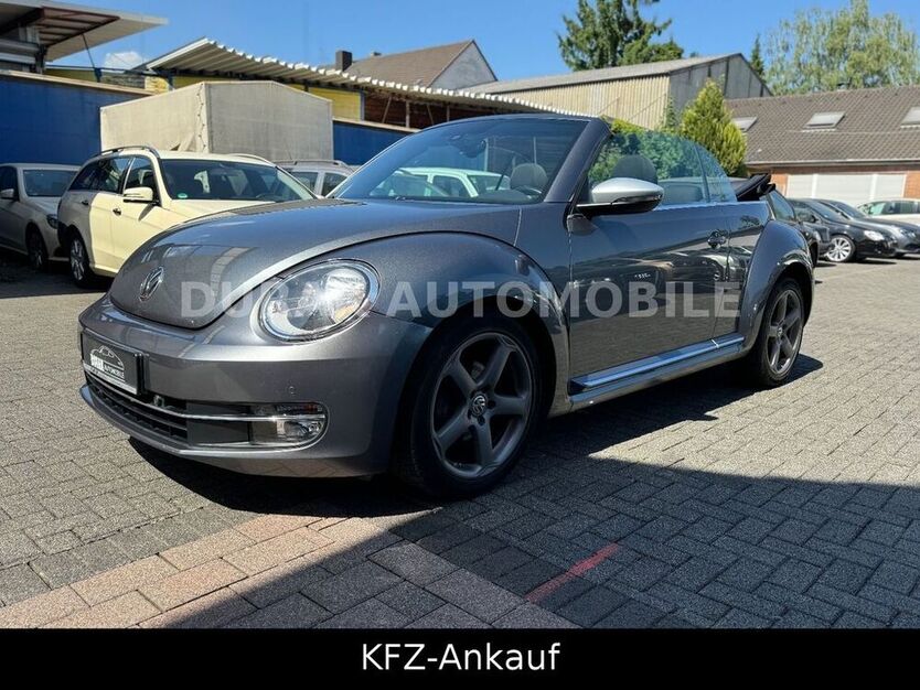 Beetle