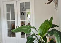 Wunderschöne Zentrumsnahe Erdgeschoss Wohnung