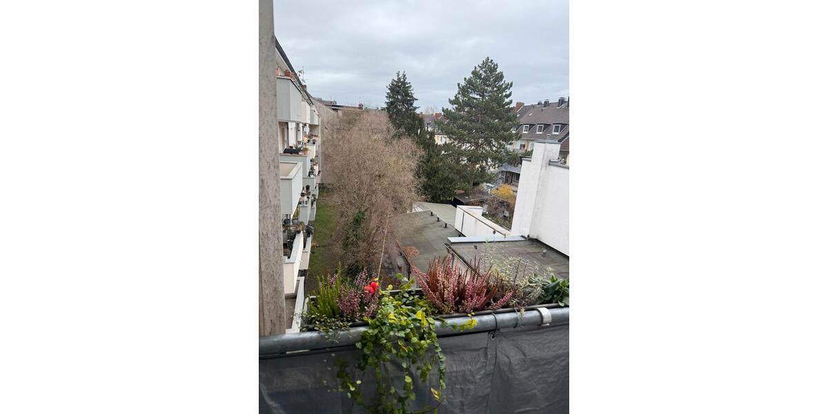 2,5 Zimmer Wohnung 1 zimmer