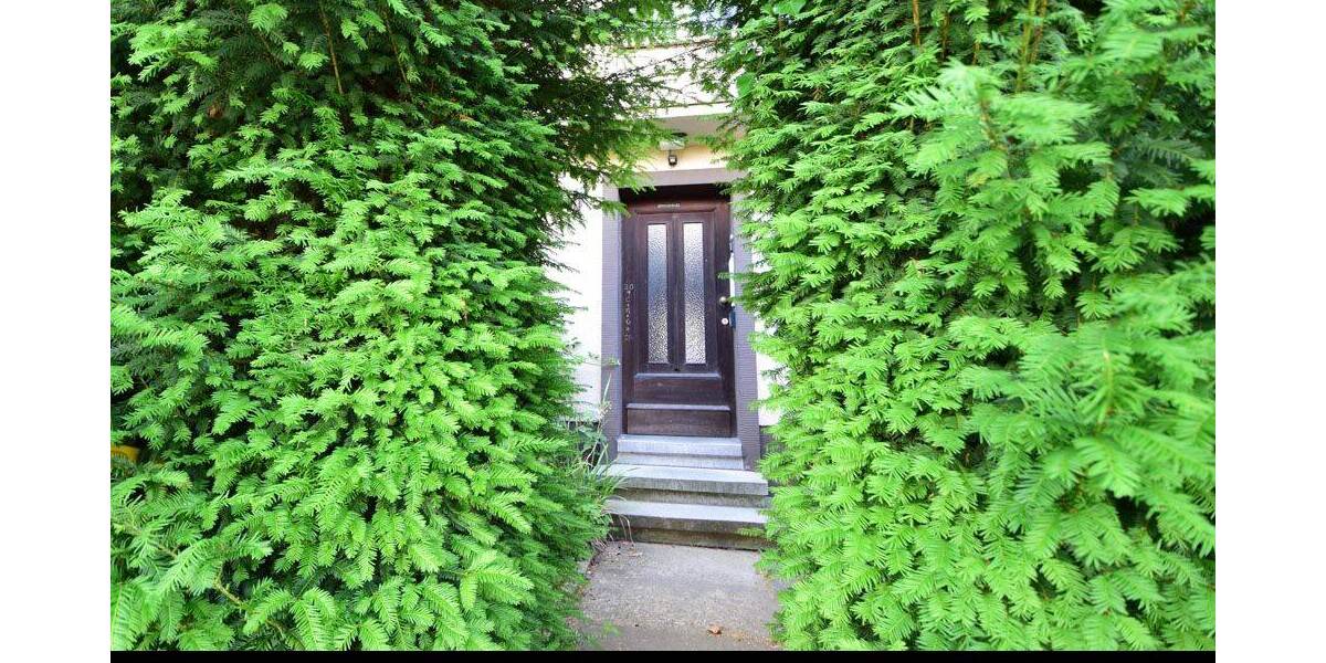 Grundstück Bonn Plittersdorf - 780.000&euro; | Angebot:23947793