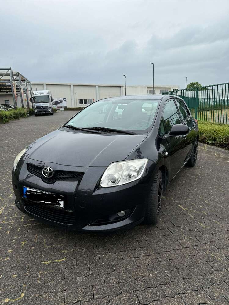 Auris